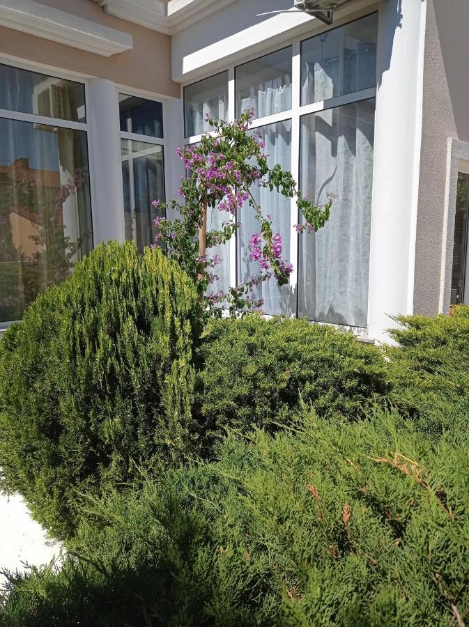 Villa Gregovica &T 2 Pola Esterno foto