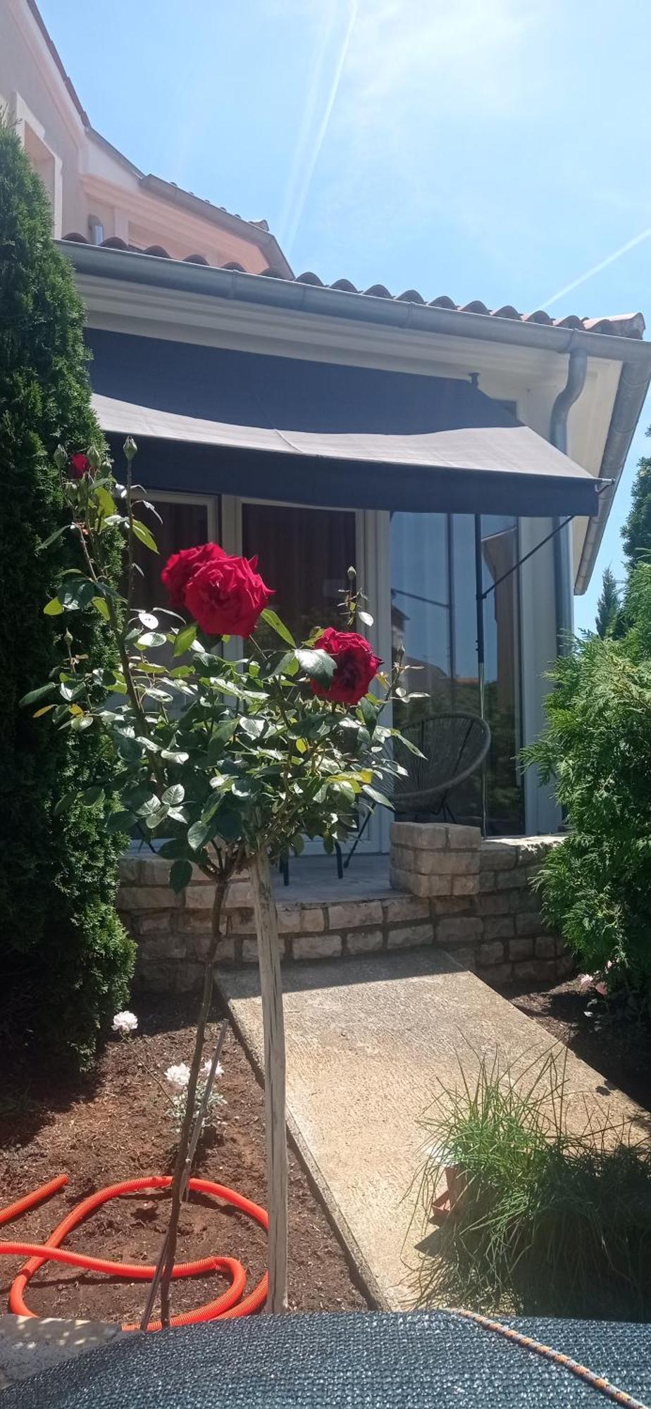 Villa Gregovica &T 2 Pola Esterno foto